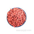 Ningxia Organic Dried Goji Berry with Low Price